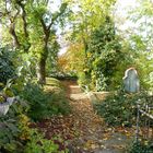 Herbst am Limburger Dom