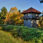 Herbst am Limes