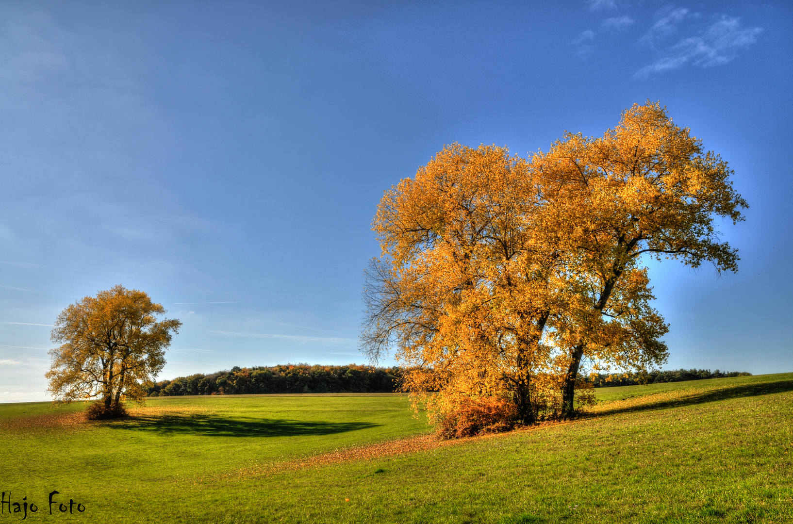 Herbst am Limes....