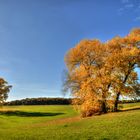 Herbst am Limes....