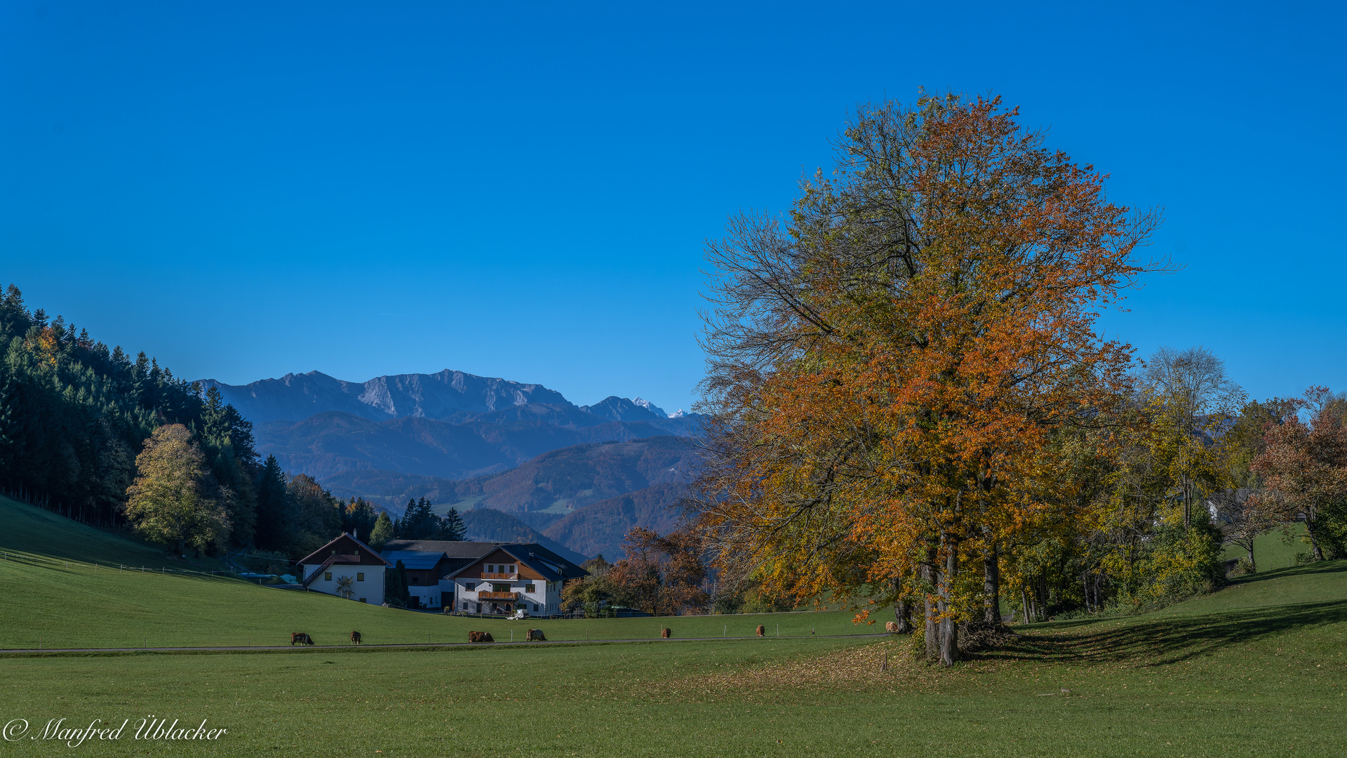 Herbst am Lindauer ...