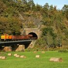 Herbst am Lochguttunnel