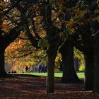 Herbst am Lohrberg