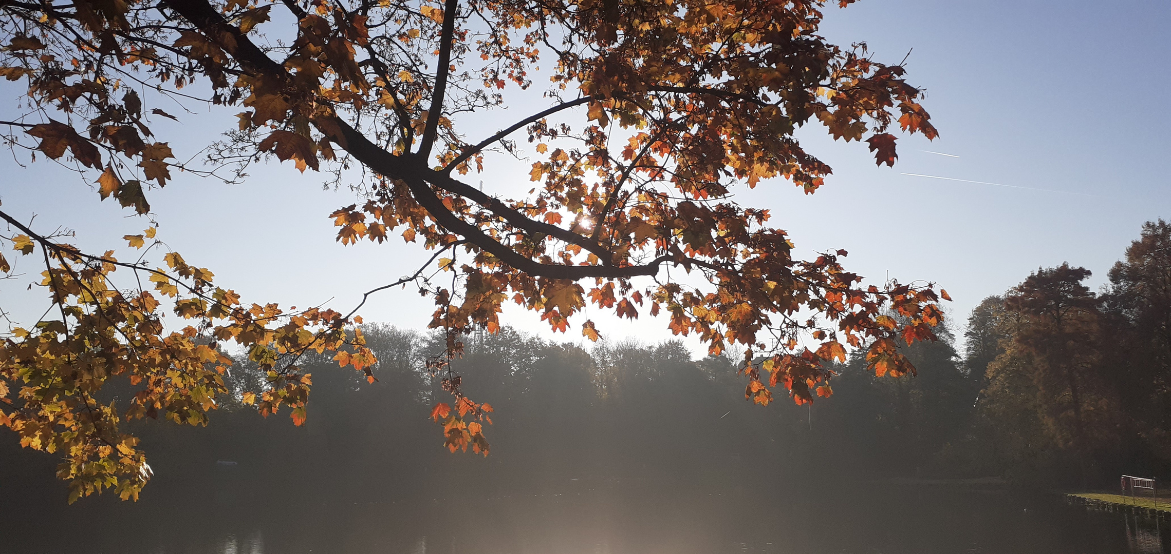 Herbst am lübecker Mühlenteich