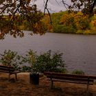 Herbst am Machnower See