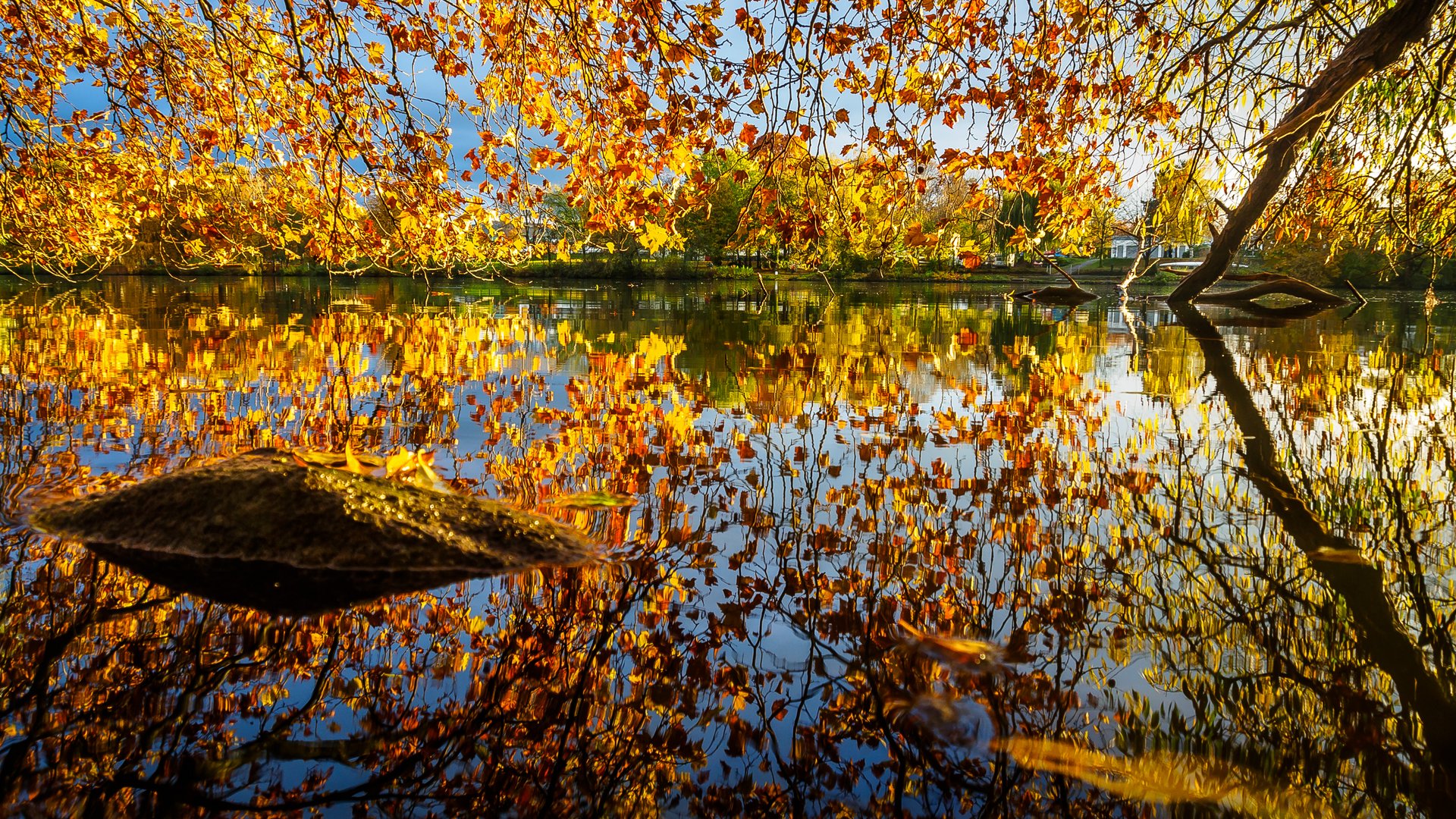 Herbst Am Main Foto Bild Wasser Natur Herbst Bilder Auf Fotocommunity