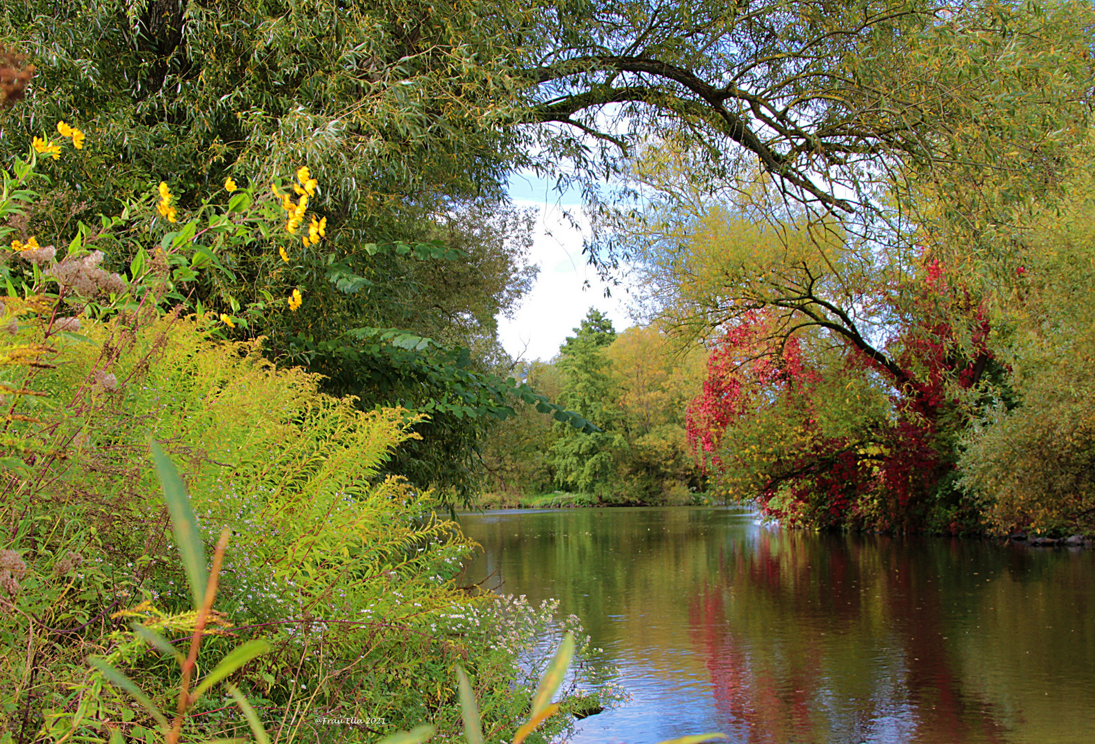 Herbst am Main