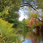 Herbst am Main