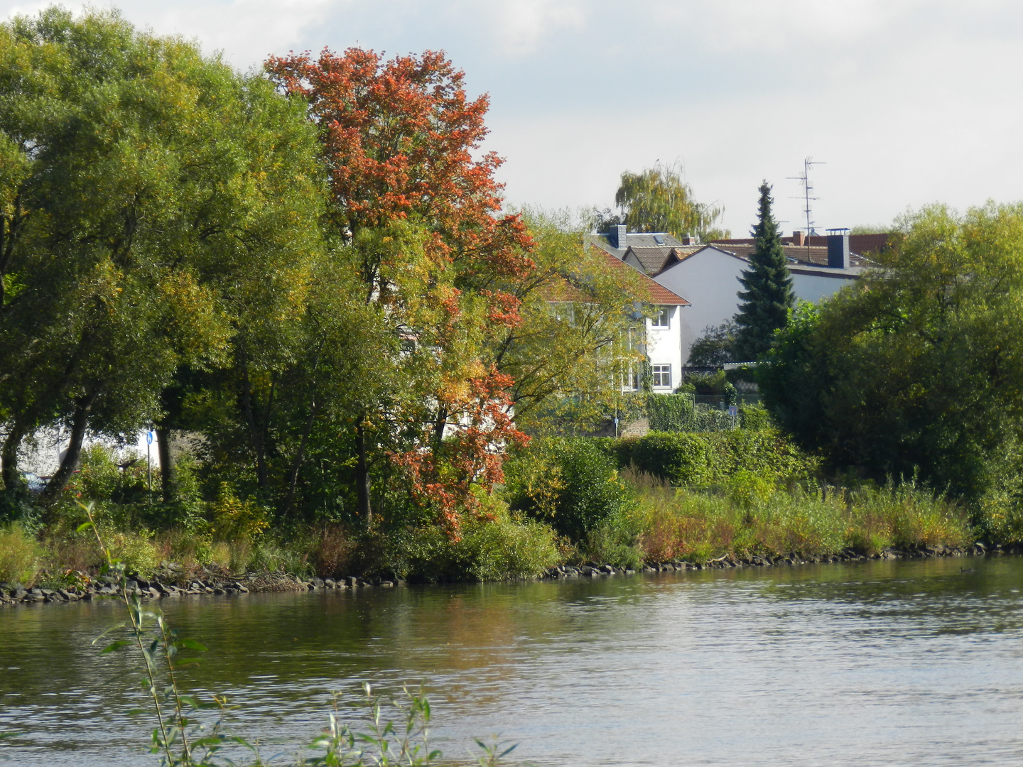 Herbst am Main