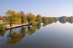 Herbst am Main