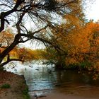 Herbst am Main - idyllisch