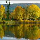 Herbst am Main in Unterfranken