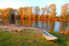 Herbst am Main - quietschbunt