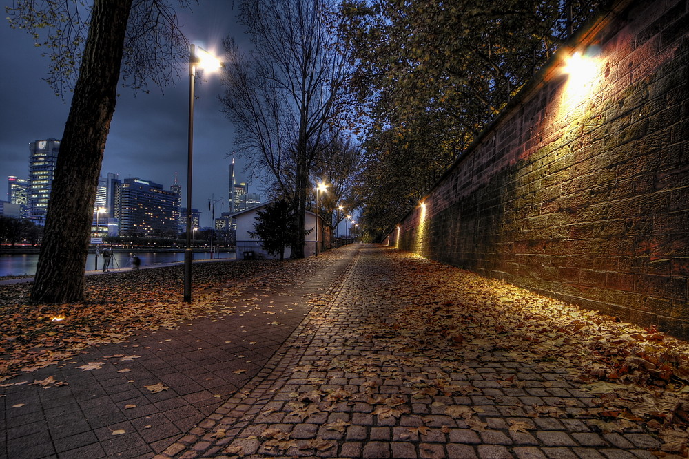 Herbst am Mainufer