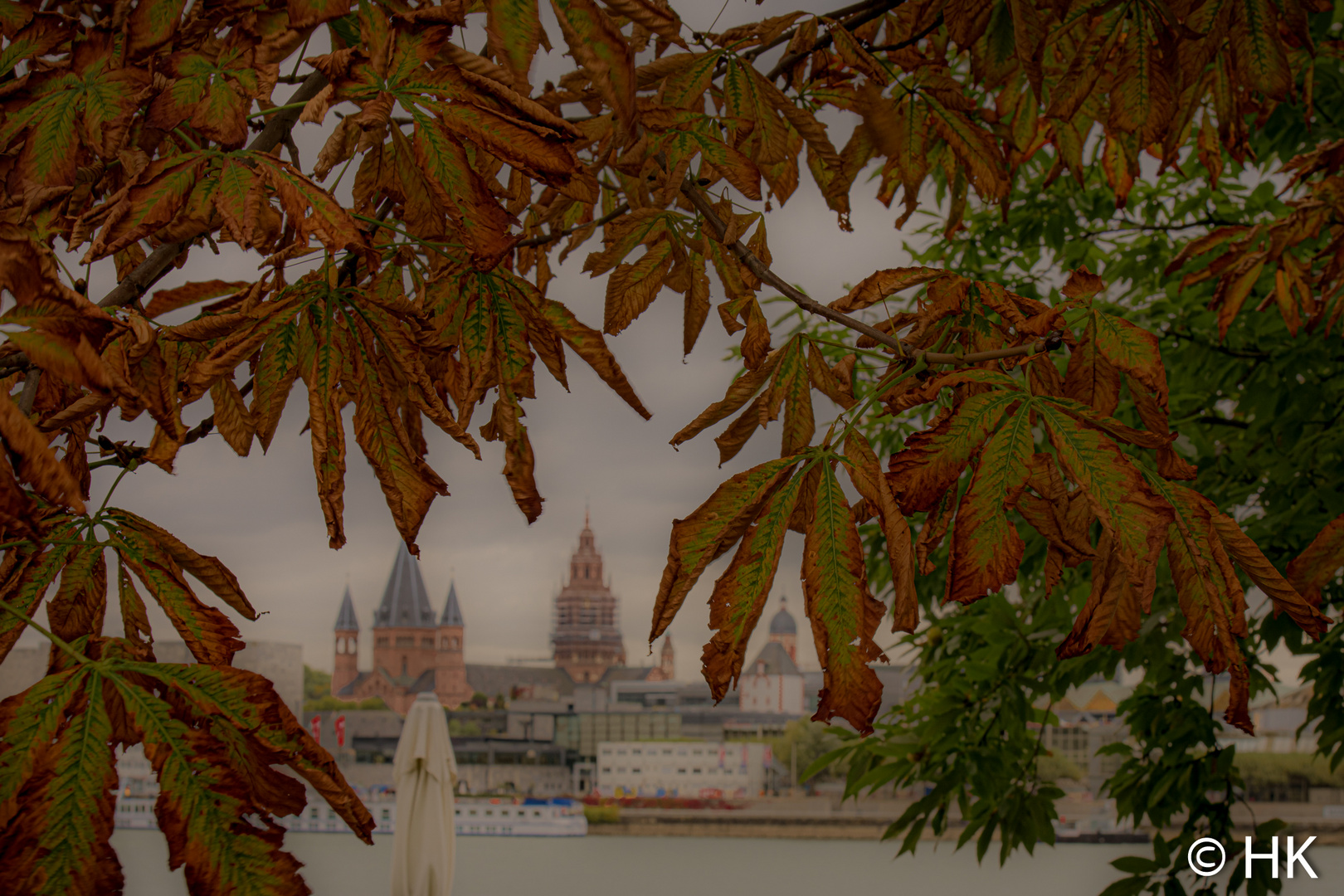 Herbst am Mainzer Rhein