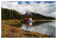 Herbst am Maligne Lake