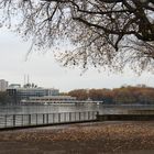 Herbst am Maschsee