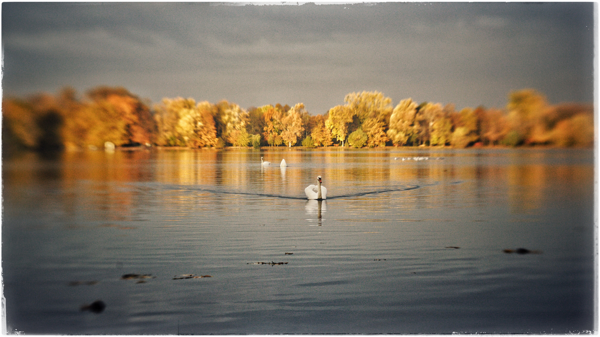 +++HERBST AM MASCHSEE+++