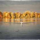 +++HERBST AM MASCHSEE+++