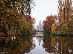  Herbst am Maschteich 