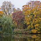   Herbst am Maschteich 