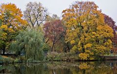   Herbst am Maschteich 