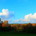 Herbst am Mauerweg 2