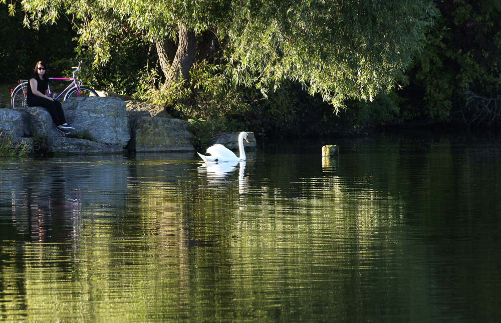 Herbst am Max-Eyth-See 2