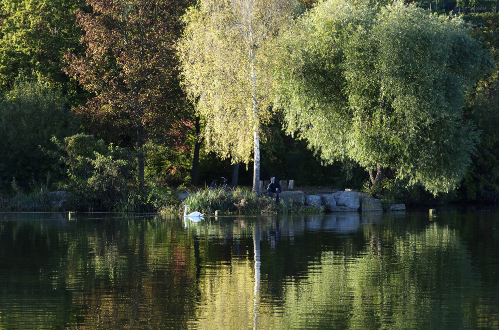 Herbst am Max-Eyth-See 3