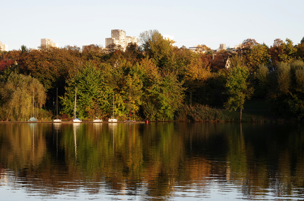 Herbst am Max - Eyth - See 4