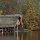 Herbst am Max-Eyth-See 7