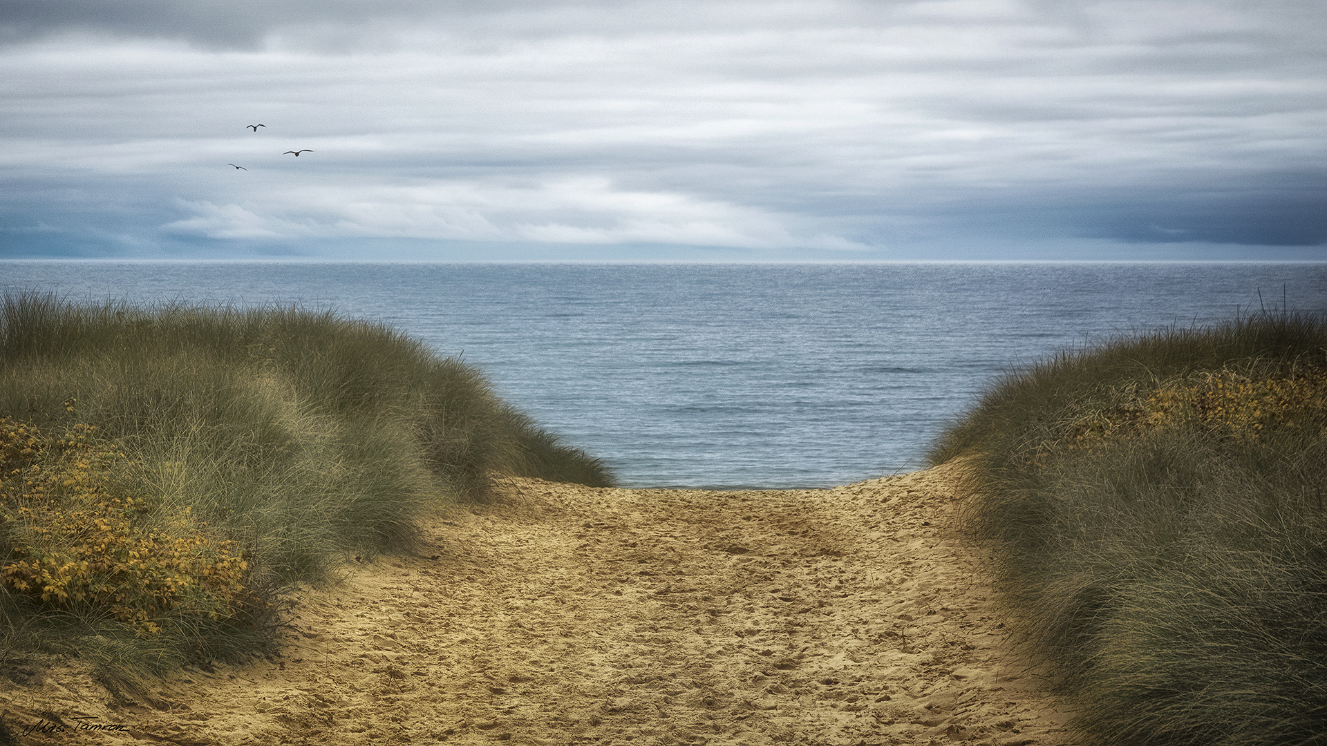 Herbst am Meer