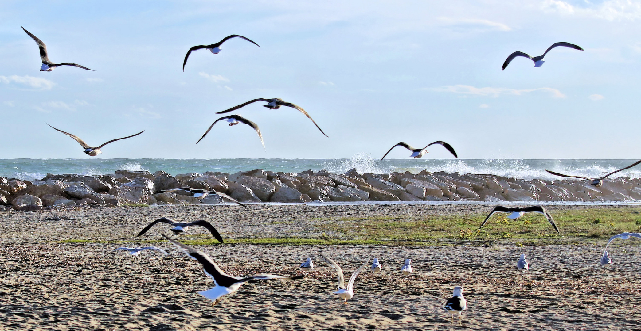 Herbst am Meer