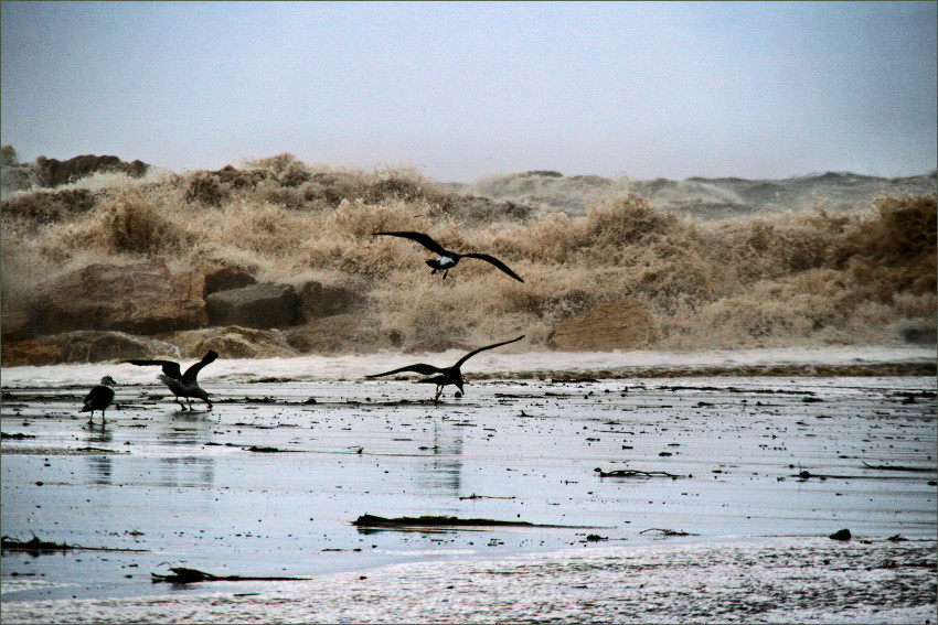 Herbst am Meer