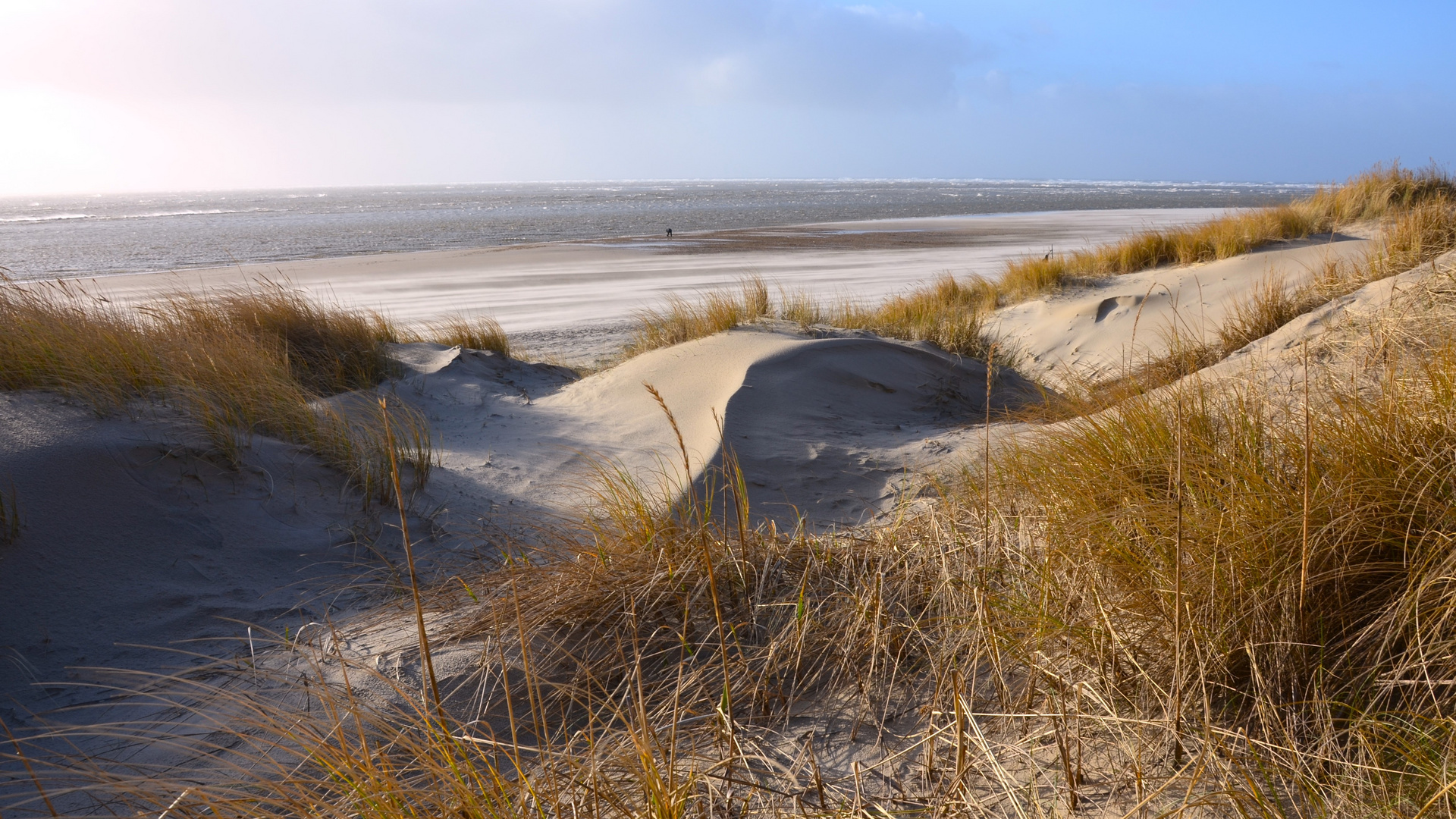 Herbst am Meer