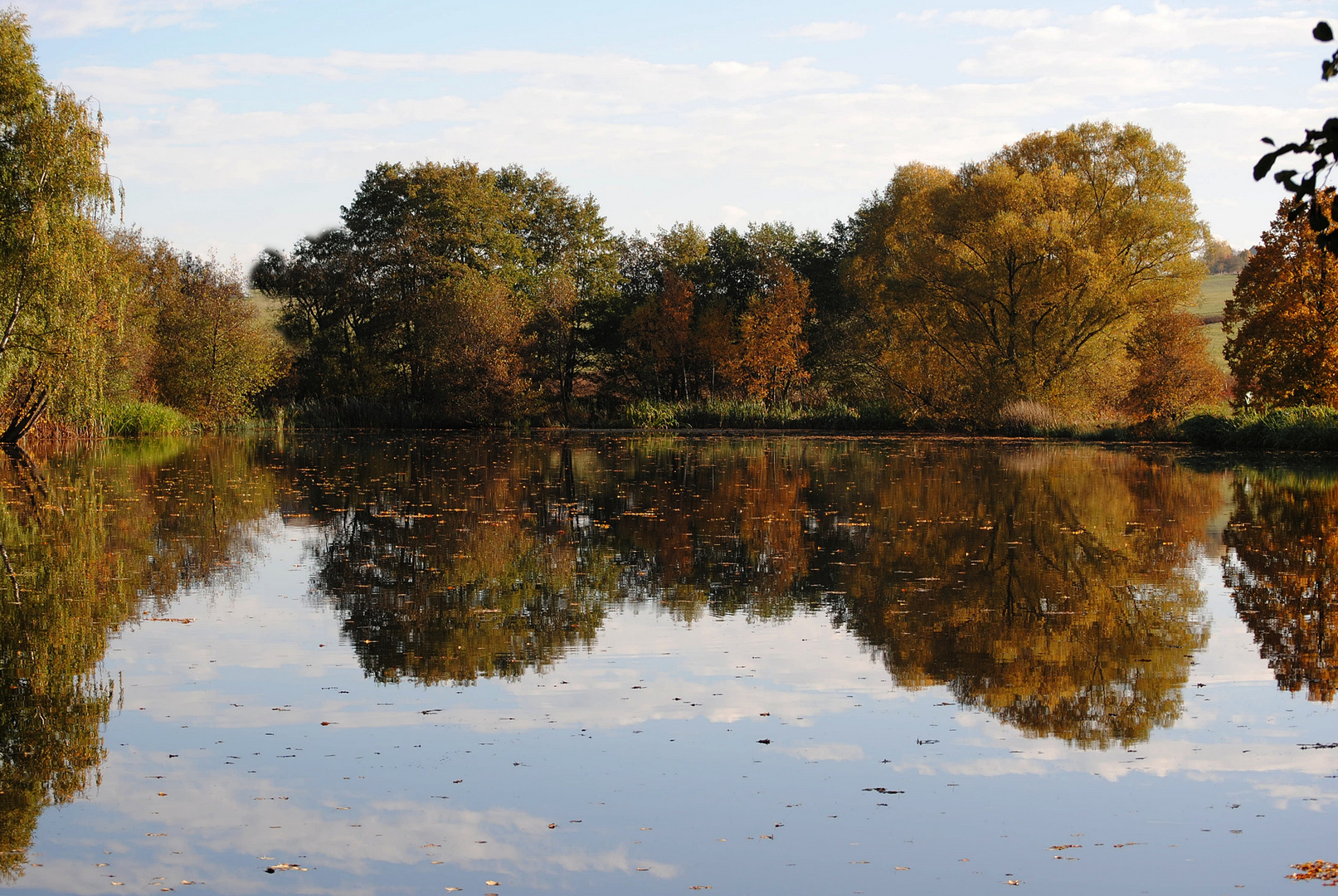 Herbst am Meerpfuhl