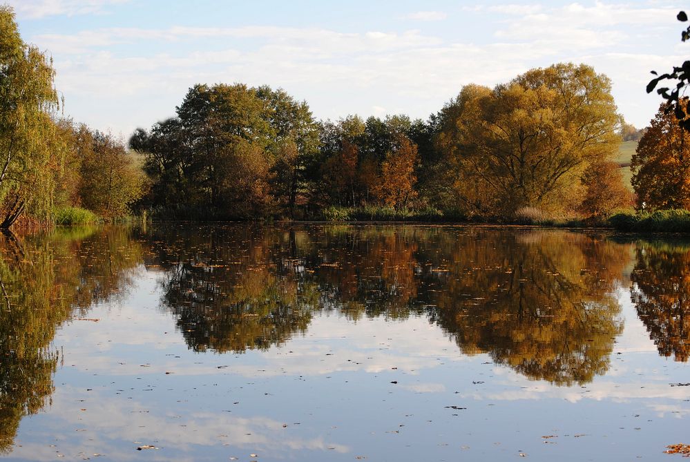 Herbst am Meerpfuhl