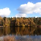 Herbst am Meinweg