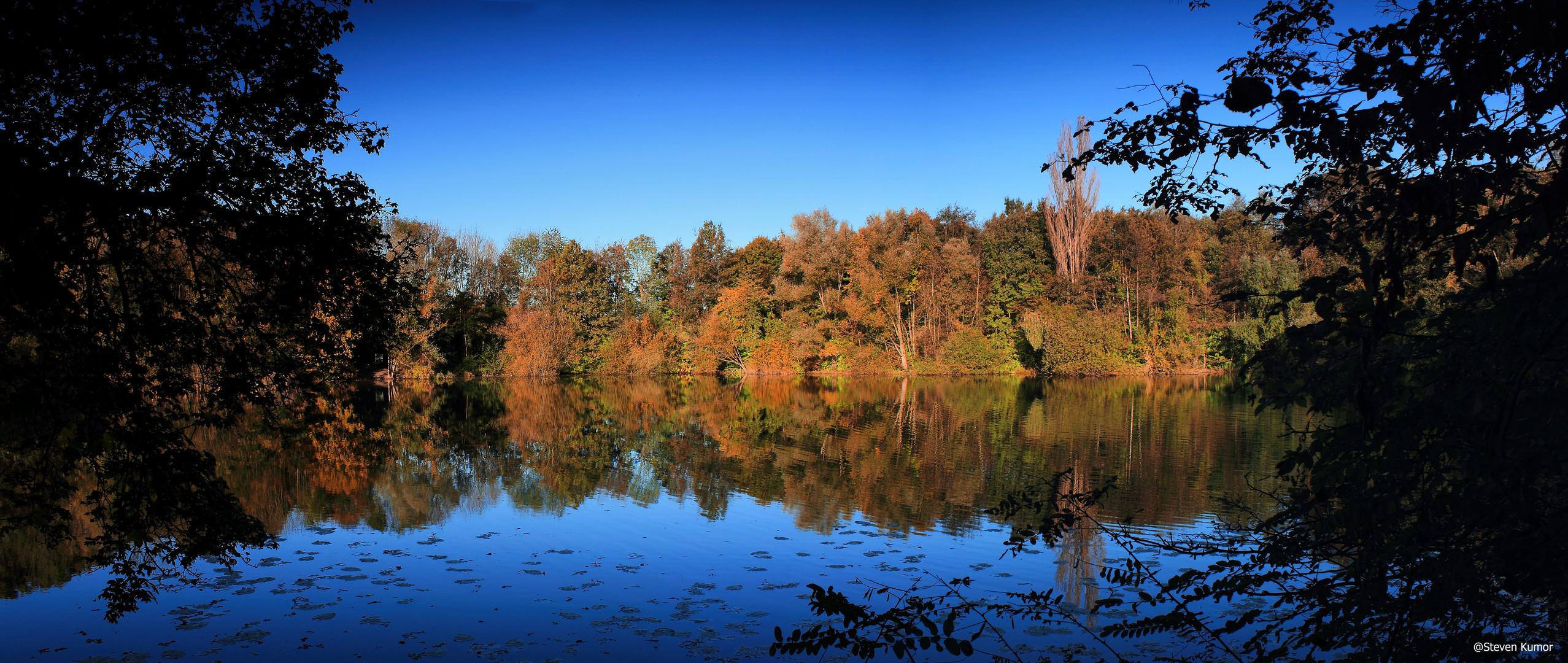 Herbst am Mergelbergteich