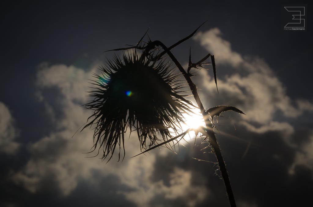 Herbst am Meschesee