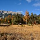 Herbst am Mieminger Plateau/Tirol