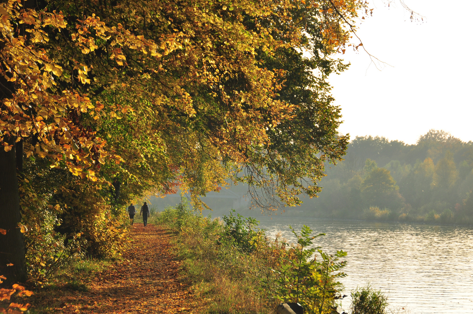 Herbst am Mittellandkanal