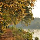 Herbst am Mittellandkanal