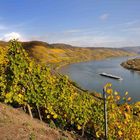 Herbst am Mittelrhein " 3 "