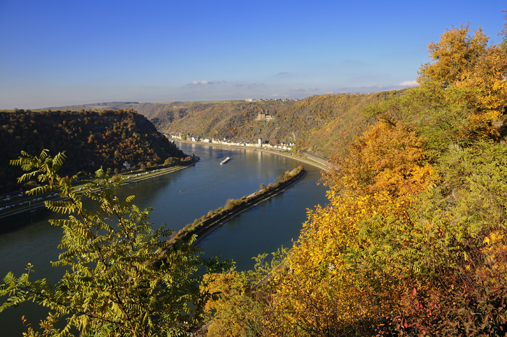 Herbst am Mittelrhein ( Loreley )