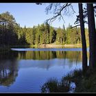 Herbst am Möserer See in Tirol