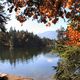 Herbst am Mserer See Tirol