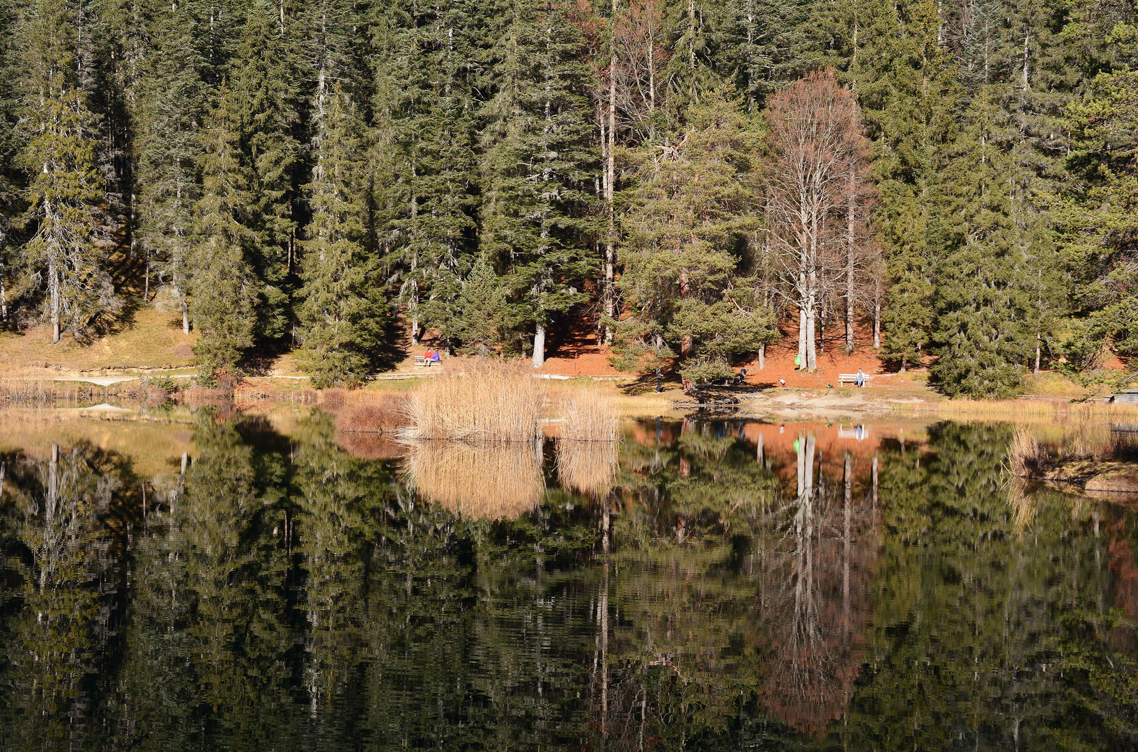 Herbst am MösererSee