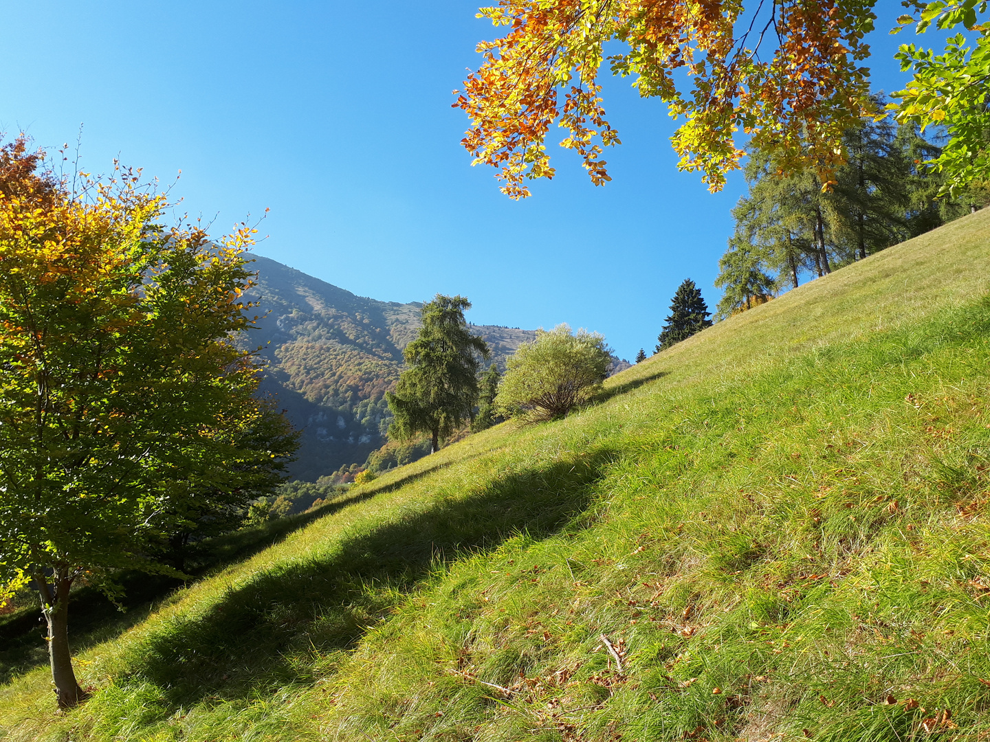 Herbst am Monte Baldo