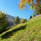 Herbst am Monte Baldo
